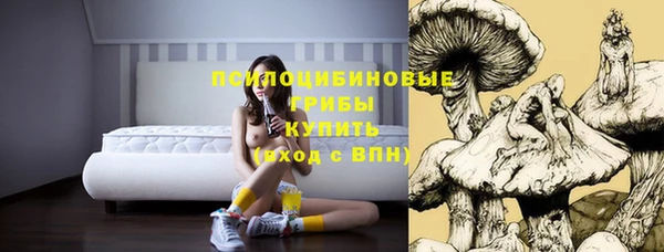 молекула духа Алексеевка