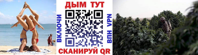 цены наркотик  Курганинск  МАРИХУАНА семена 